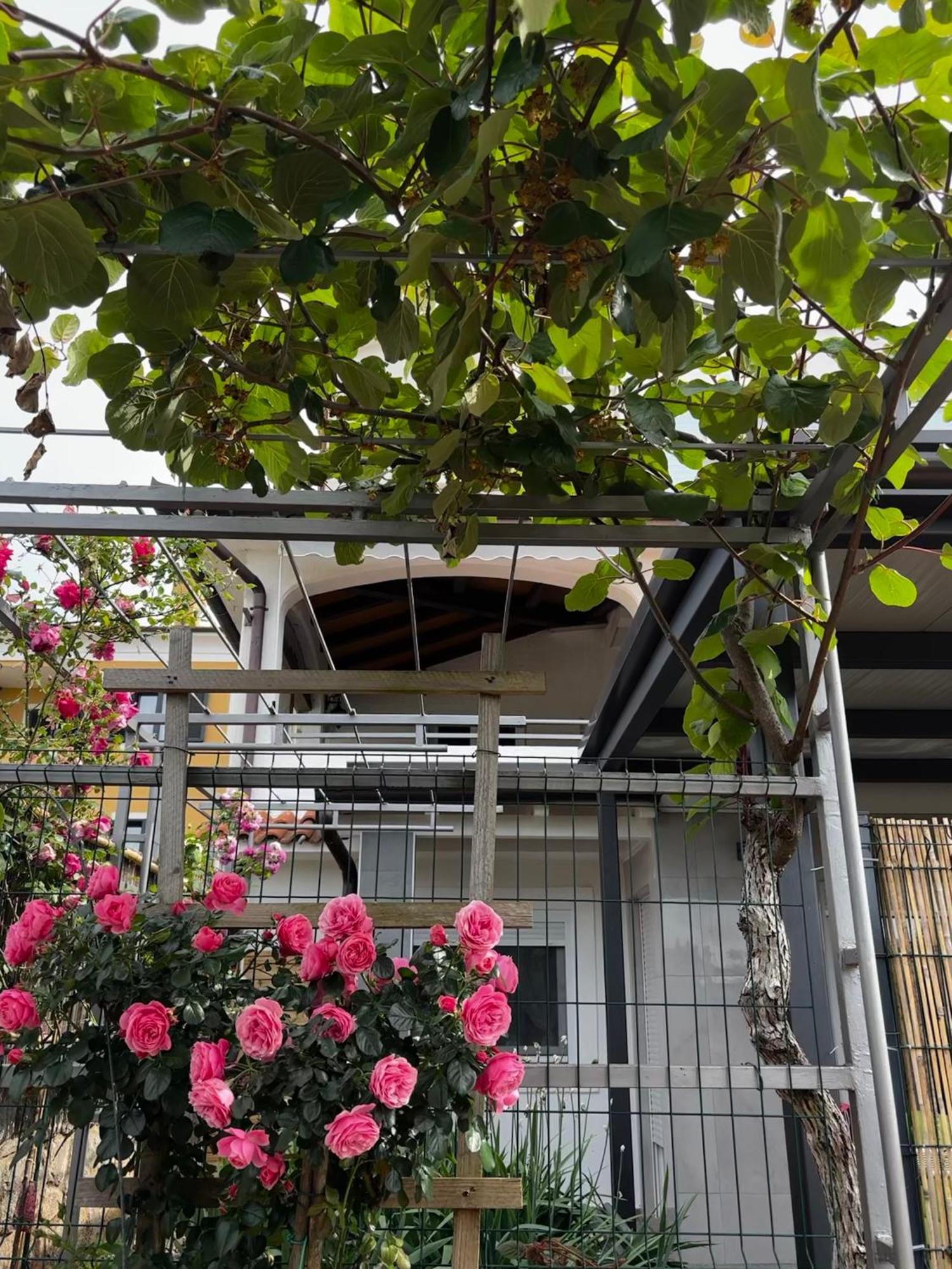Apartmani Rozi Umag Dış mekan fotoğraf