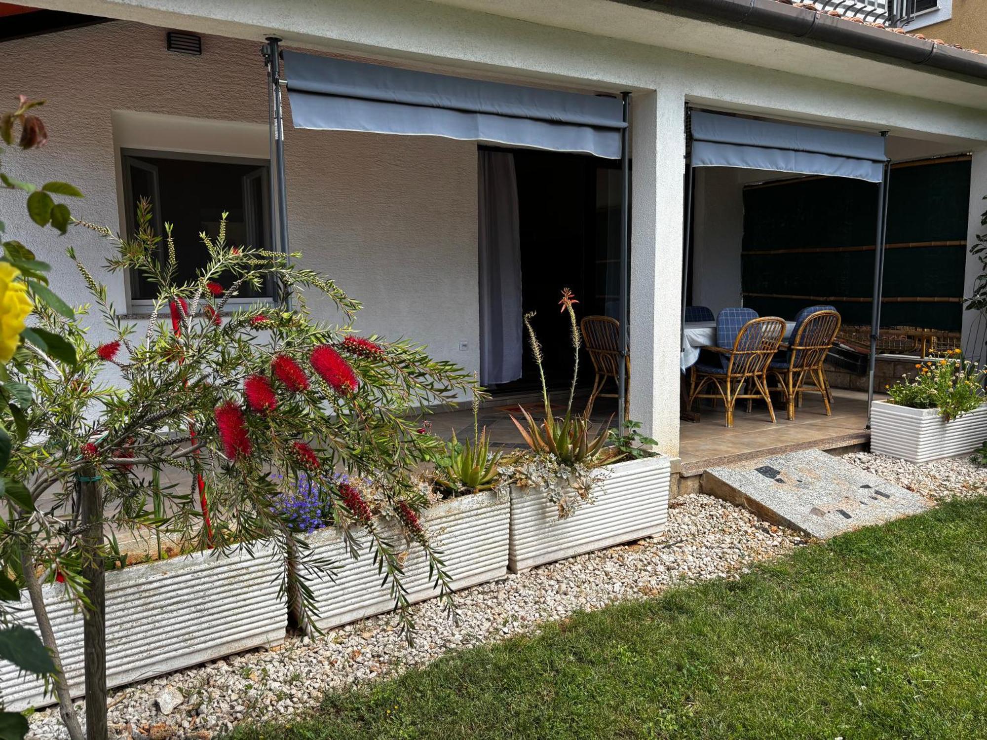 Apartmani Rozi Umag Dış mekan fotoğraf